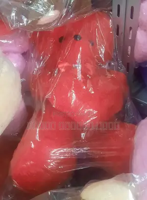 አሻንጉሊት(Toy)