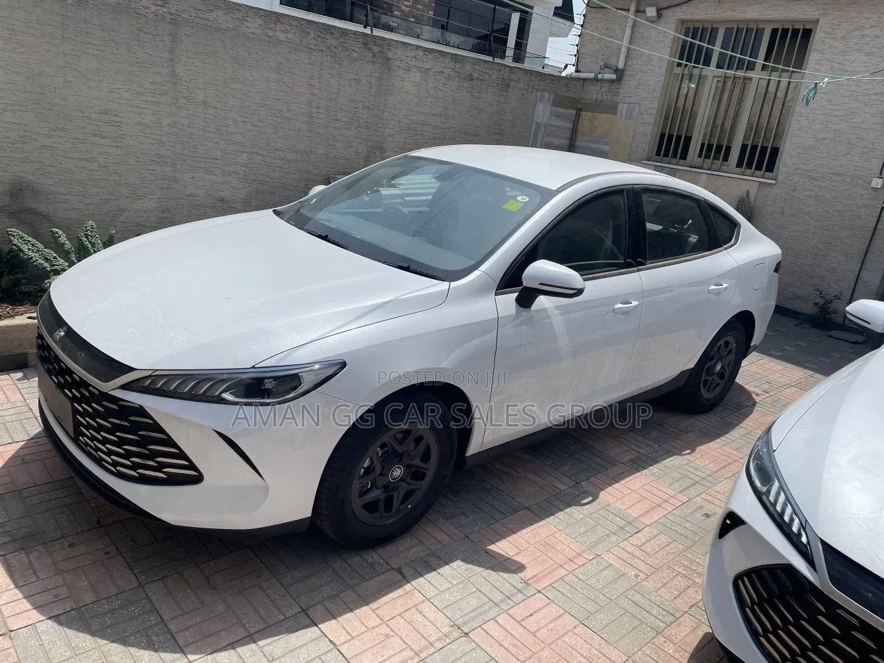 BYD Qin Plus DM-i 2025 White