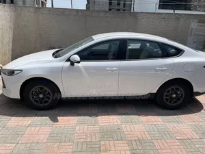 BYD Qin Plus DM-i 2025 White
