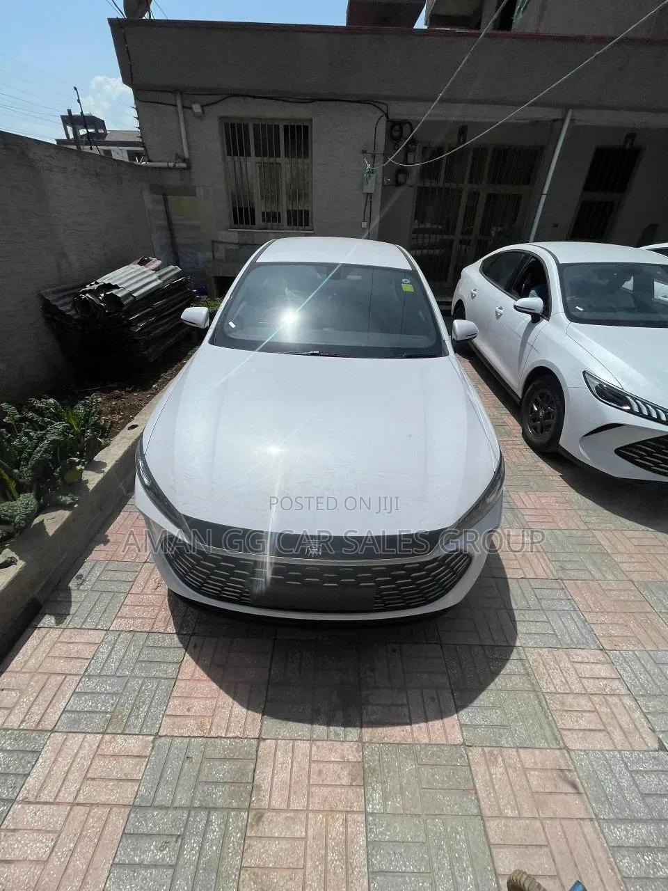 BYD Qin Plus DM-i 2025 White