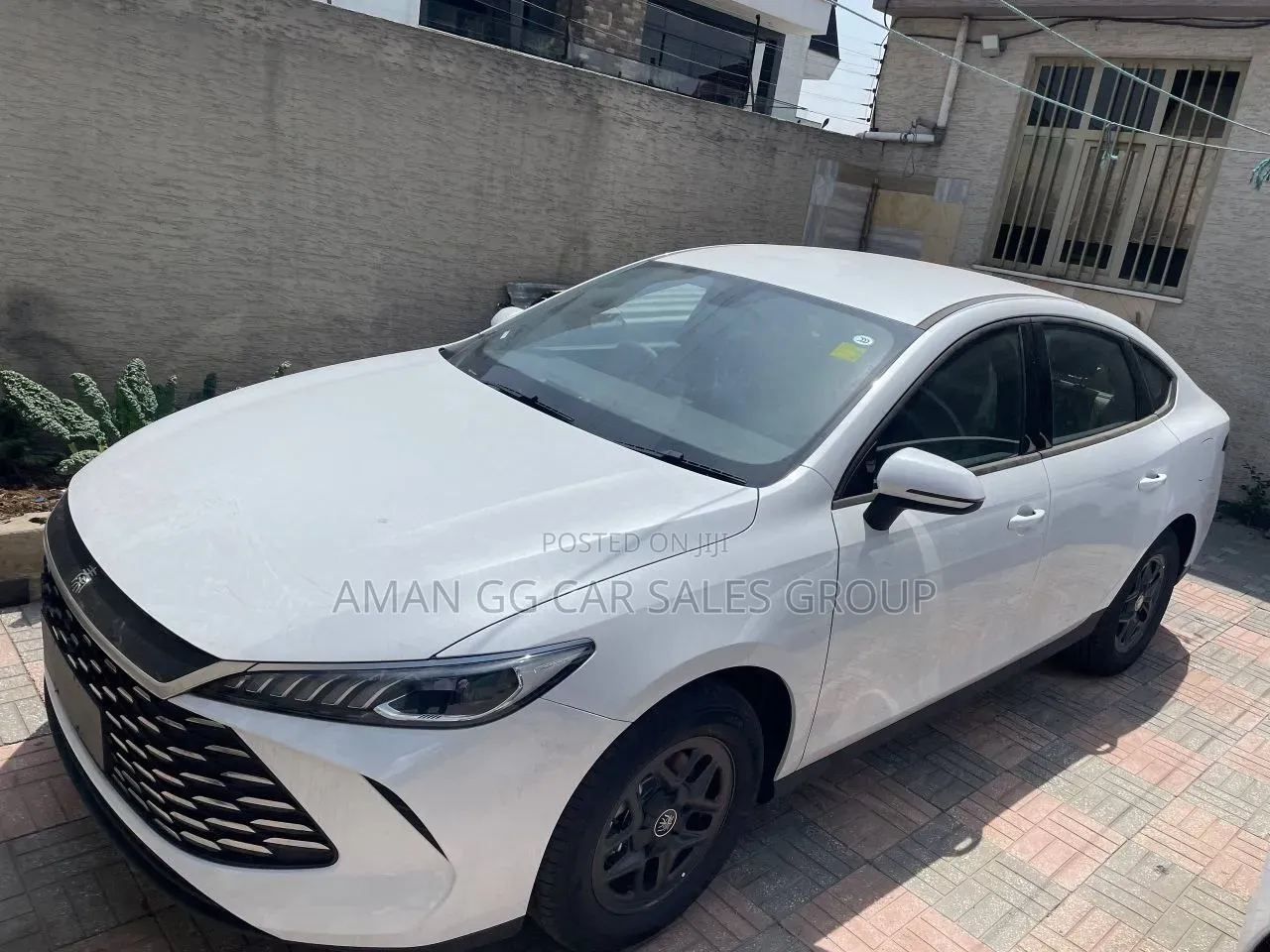 BYD Qin Plus DM-i 2025 White