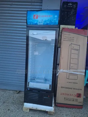 Everaset Despelaye 320 Model