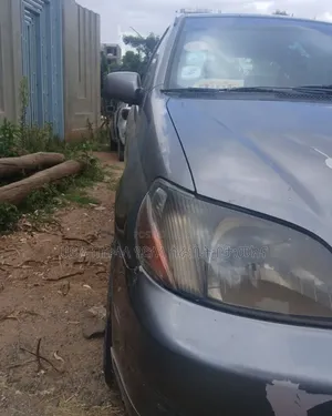 Toyota Platz 2001 Gray