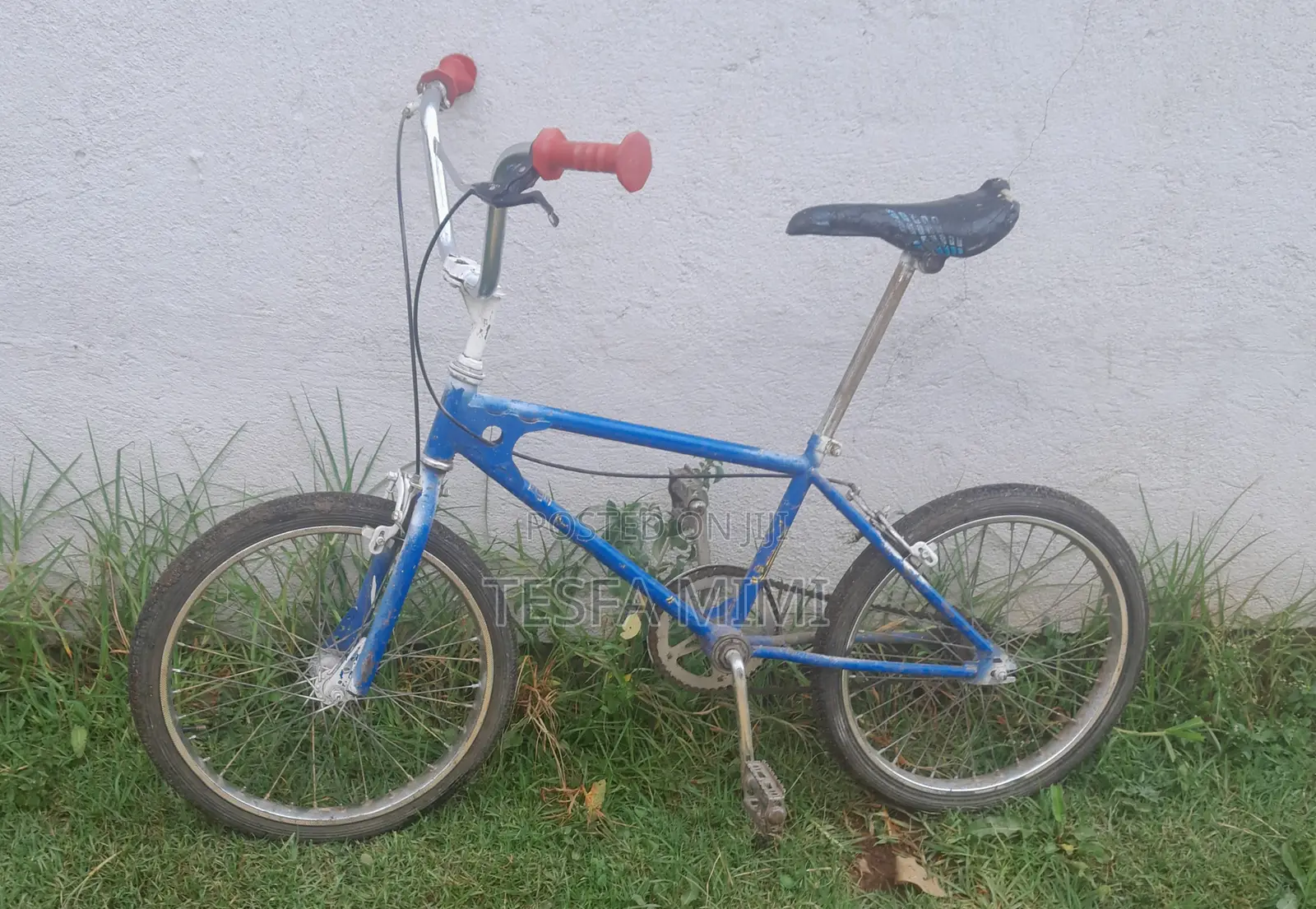 BMX Bike 20 Inch