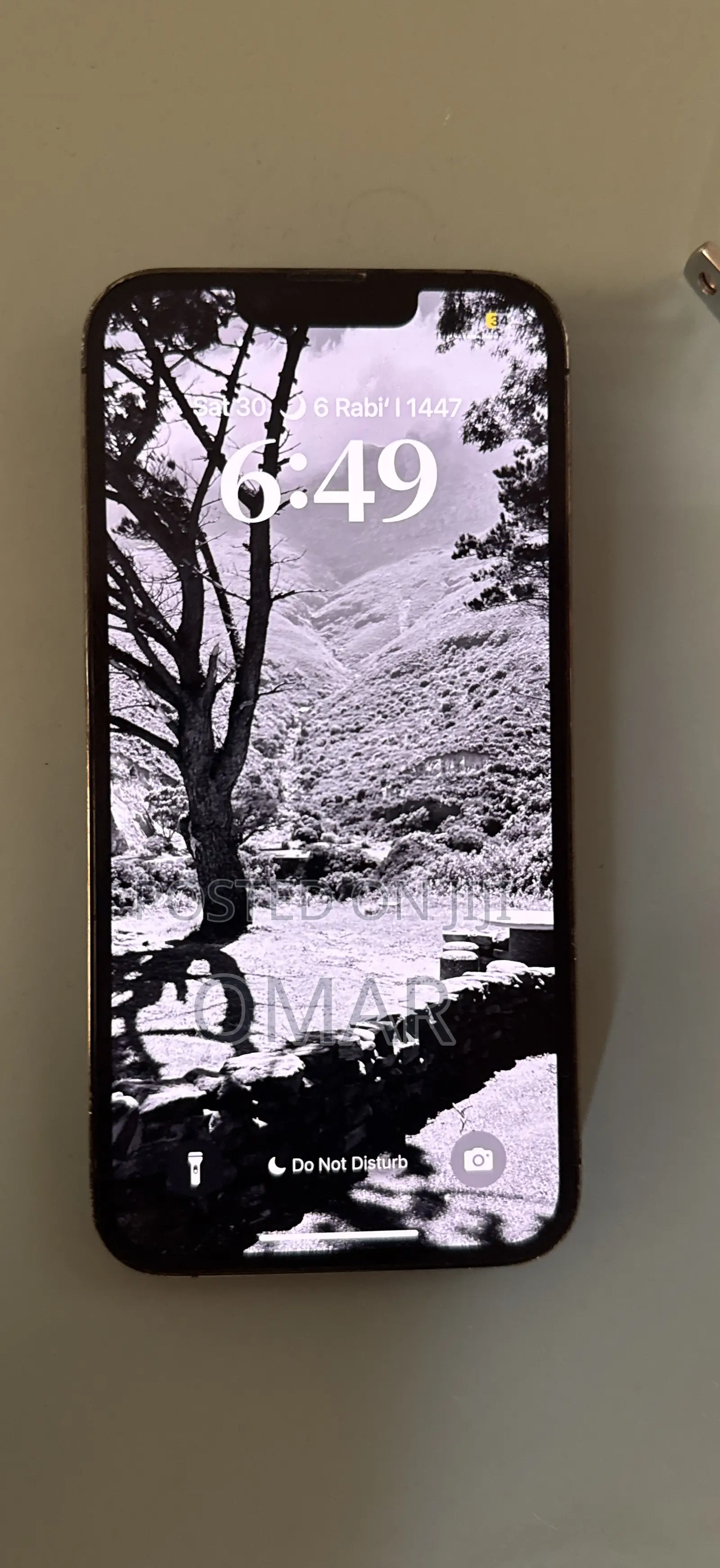 Apple iPhone 13 Pro 256 GB Gray