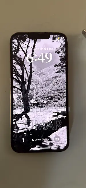 Apple iPhone 13 Pro 256 GB Gray