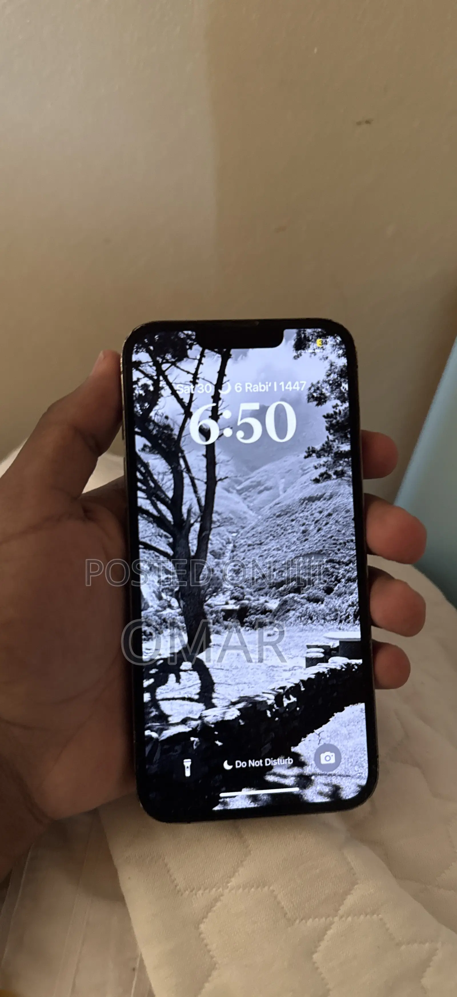 Apple iPhone 13 Pro 256 GB Gray