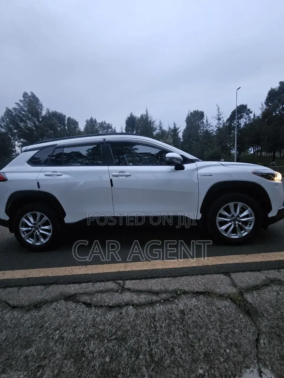 Toyota Corolla 2023 White