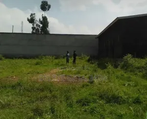 Bole Bulbula, Construction Land for Sale 18,000sqm