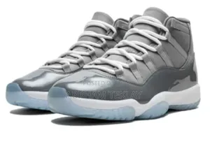 Jordan 11 Silver