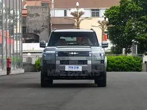 New BYD Leopard 7 2025 Gray
