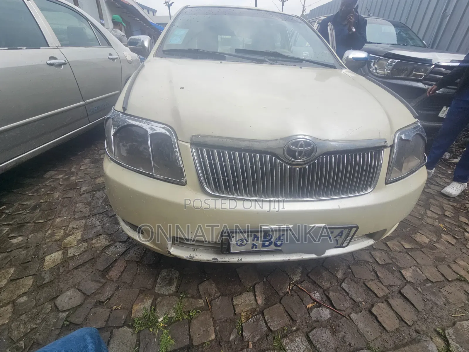 Toyota Corolla 2006 Ivory