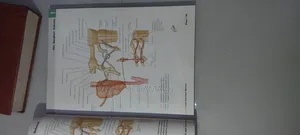 Netter's Atlas of Human Anatomy