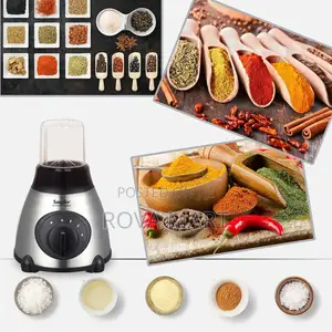Sonifer Glass 2 In1 Blender