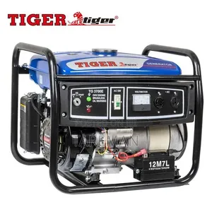 ፡Tiger Brand Blue Portable Gasoline Generator,