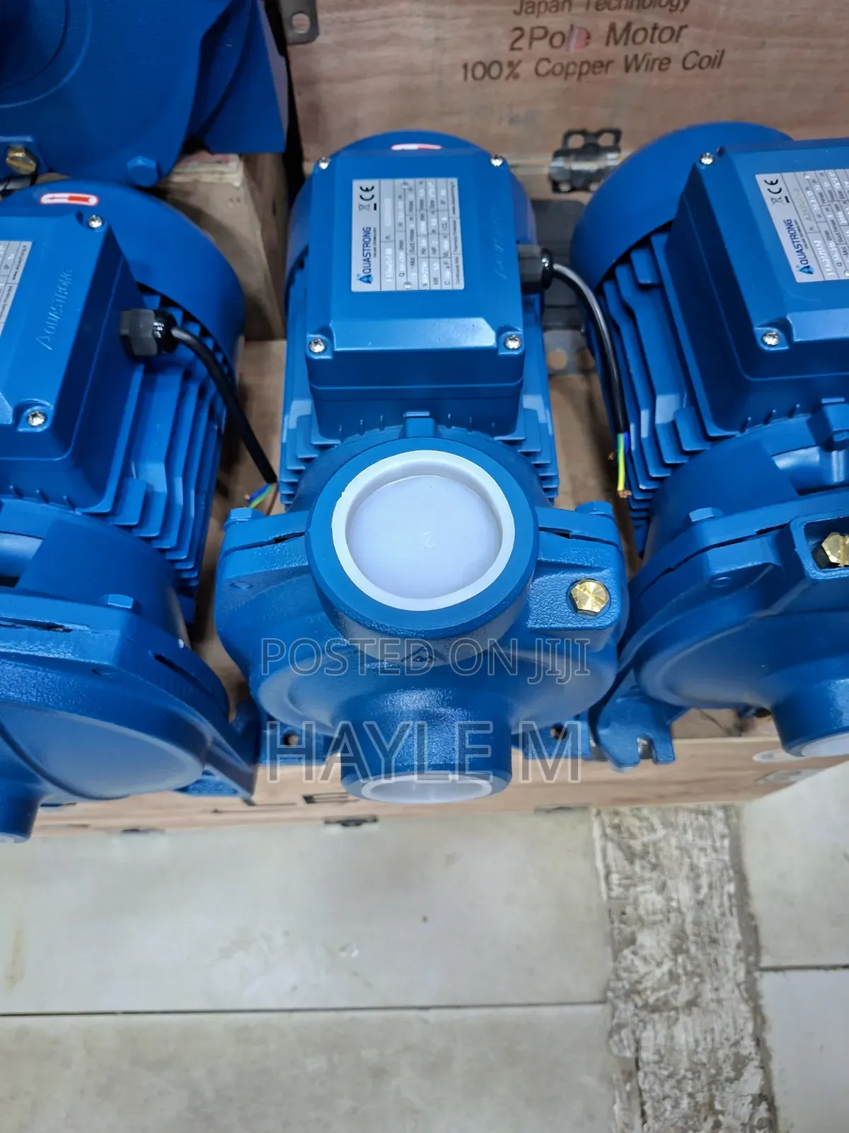 Surface Pump 3hp Italy