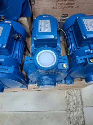 Surface Pump 3hp Italy