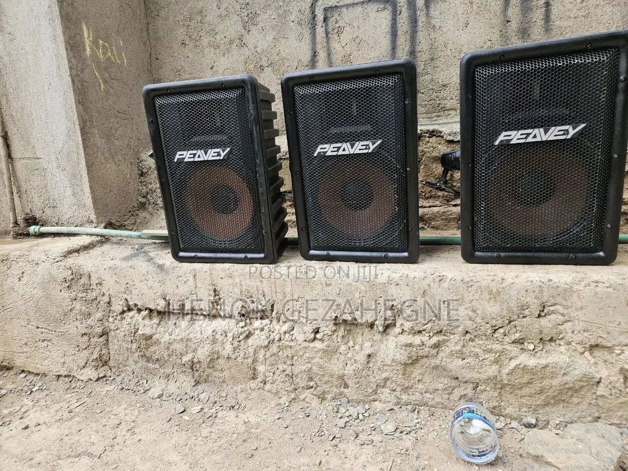 Peavey Passive Speaker