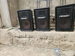 Peavey Passive Speaker