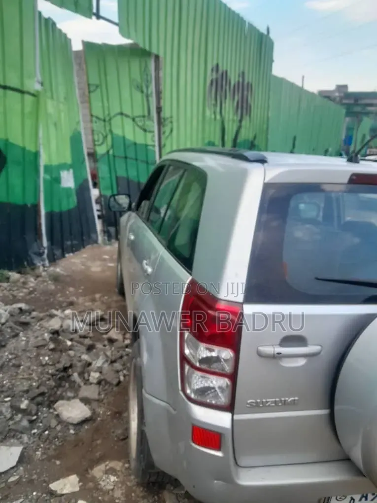 Suzuki Grand Vitara 1.9 DDiS 2007 Silver