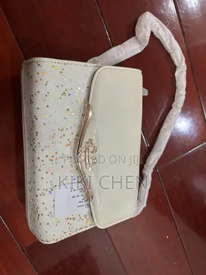 Chasel Karin Light Luxury Chain Mini Square Bag – 2026 New Design