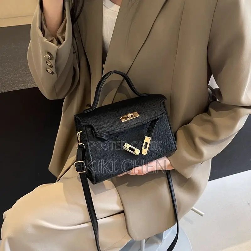Designer Style Premium Handbag – New Arrival