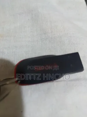 Flash Driver