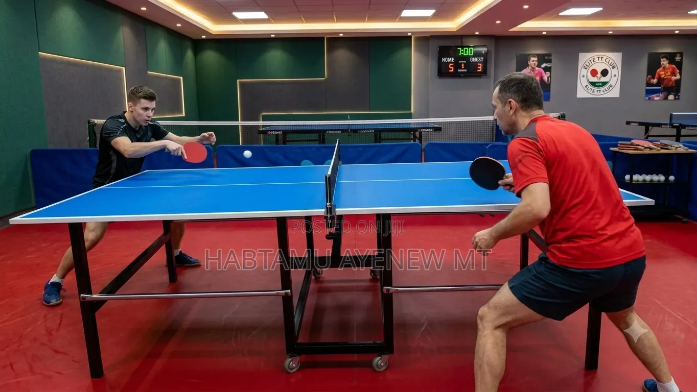 Standard Size Tennis Table With Full Acceceries
