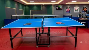 Standard Size Tennis Table With Full Acceceries