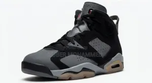 Air Jordan 6 Retro "Cool Grey"