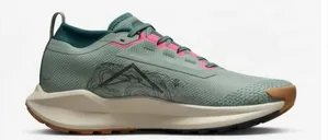 Nike Pegasus Trail 5