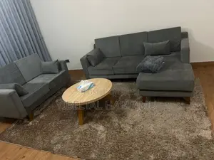 Washing Machine,Sofa and 55 Inch Tv With Background