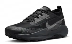 Nike Pegasus Trail 5 Gore-Tex