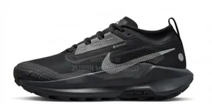 Nike Pegasus Trail 5 Gore-Tex