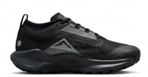 Nike Pegasus Trail 5 Gore-Tex