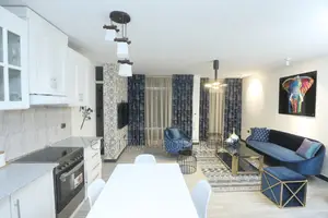 Furnished 1bdrm Apartment in Bole for rent