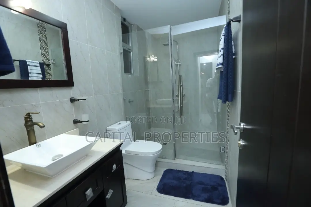 Furnished 1bdrm Apartment in Bole for rent