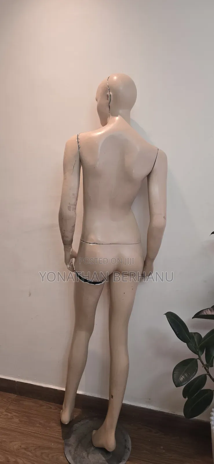 Women Mannequin