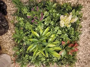 Artificial Grass