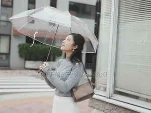 Transparent Umbrella