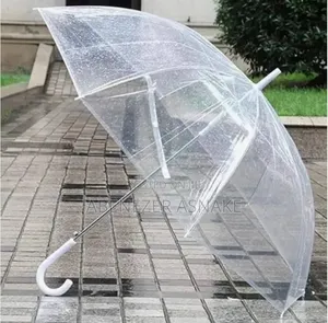 Transparent Umbrella