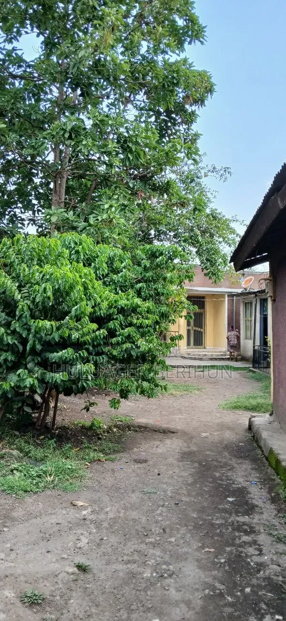 Furnished 3bdrm House in Akaky Kaliti for sale