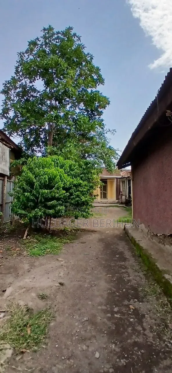 Furnished 3bdrm House in Akaky Kaliti for sale