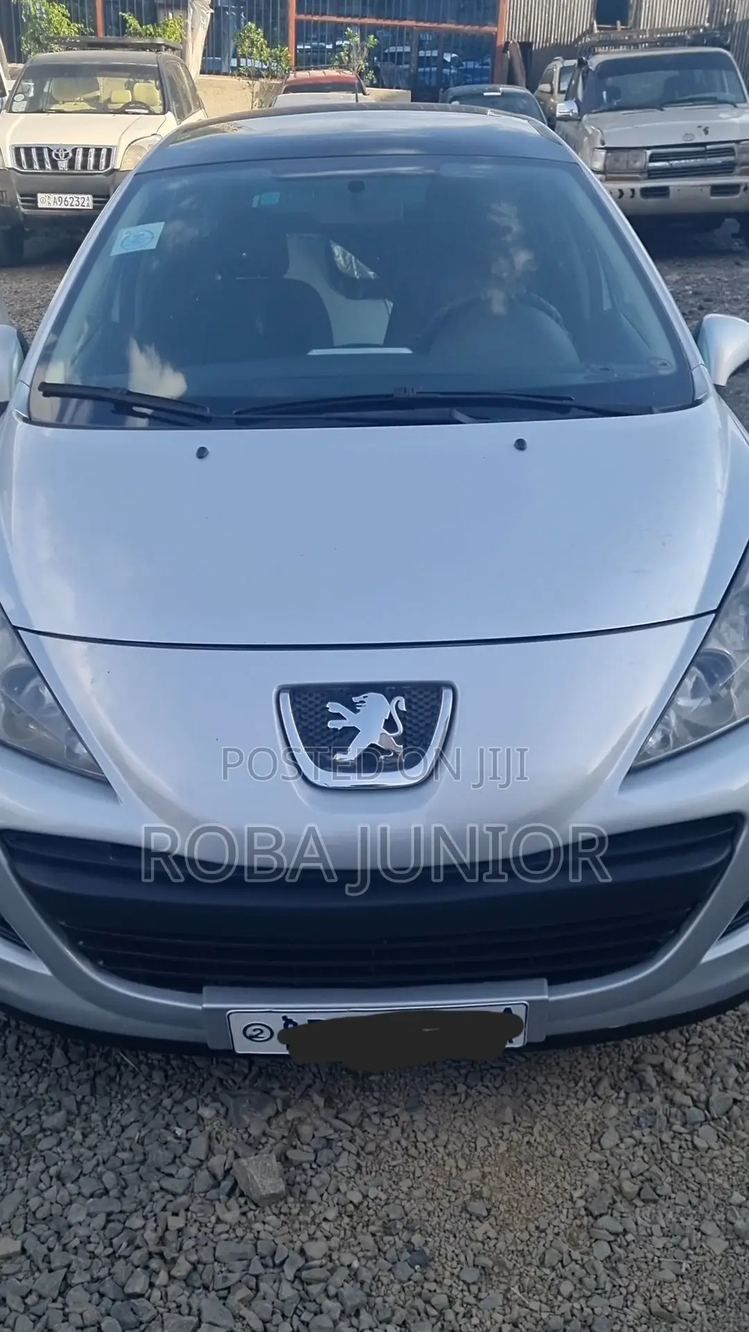 Peugeot 207 2010 Silver