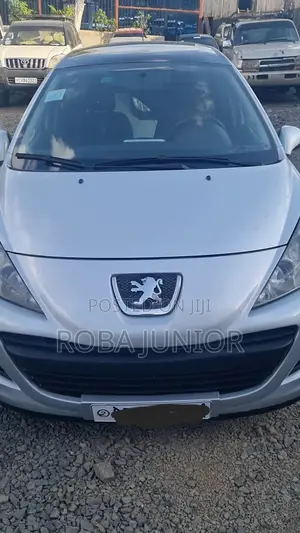 Peugeot 207 2010 Silver