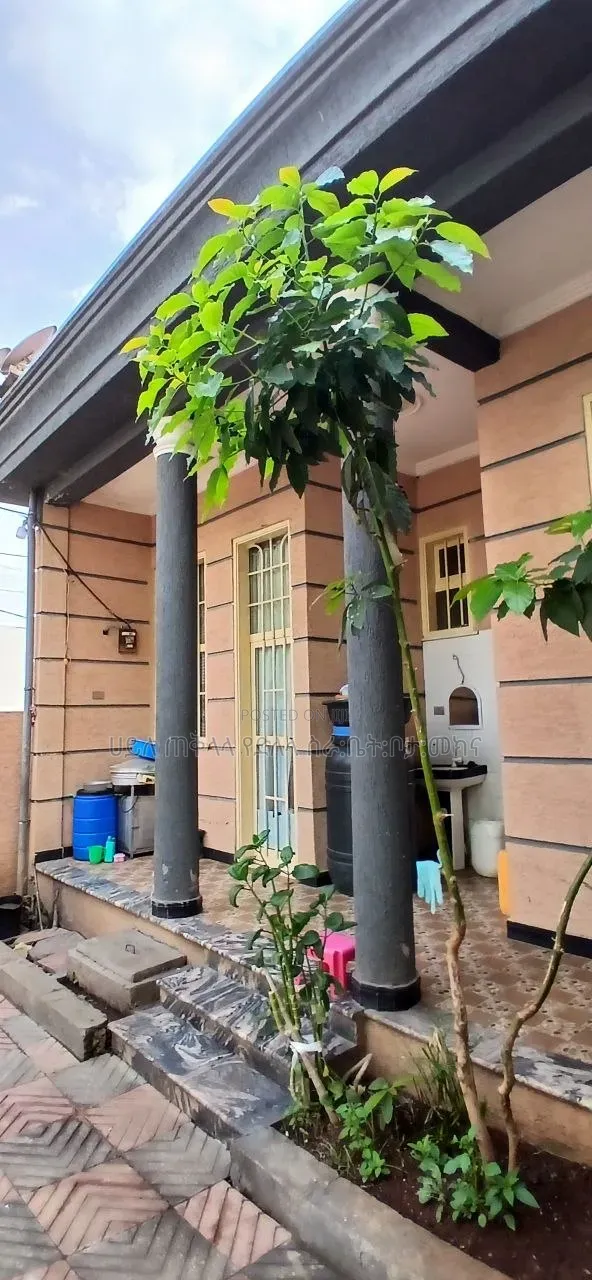 Furnished 4bdrm Villa in Ayat Area, Yeka for sale