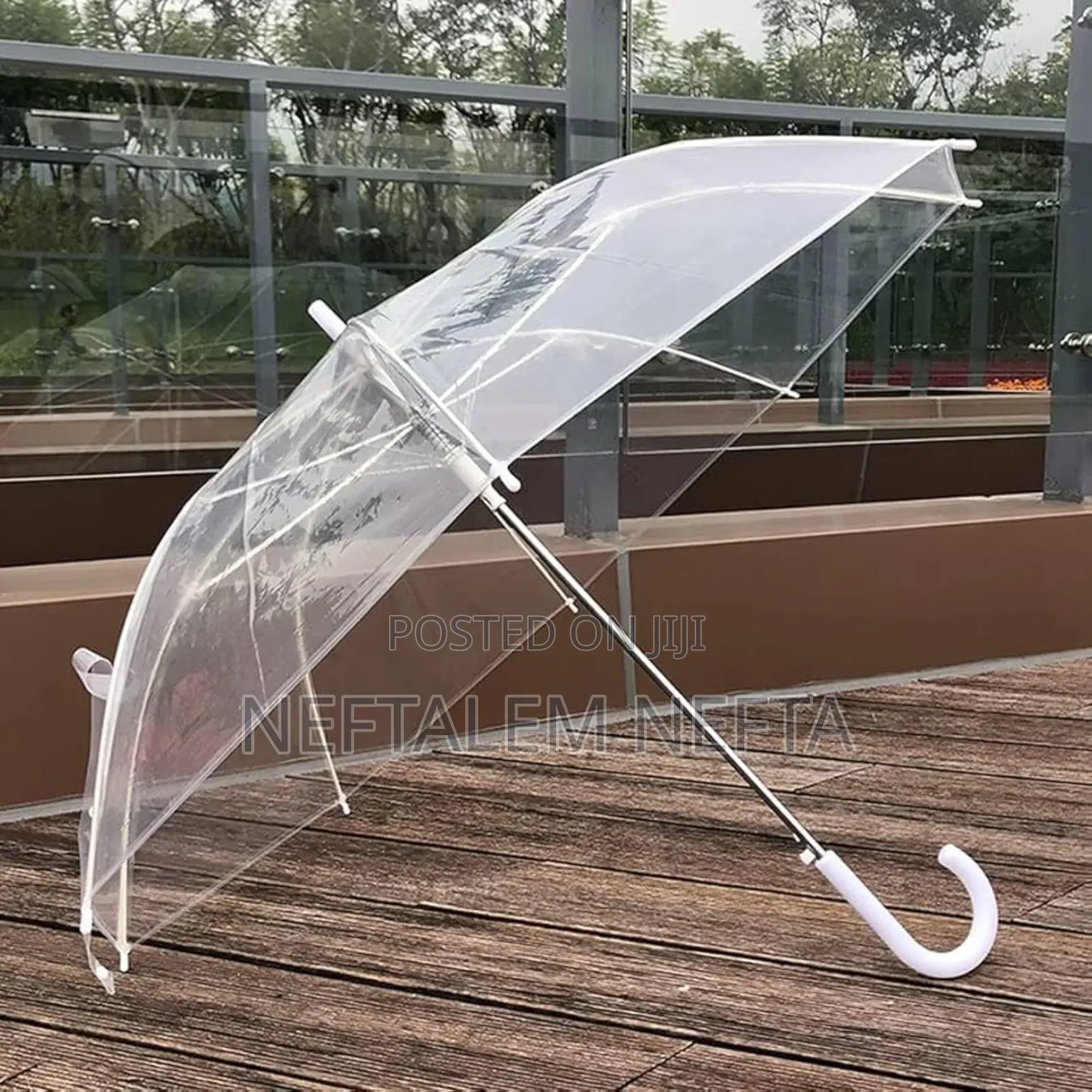Transparent Umbrella
