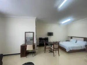 Furnished 1bdrm Apartment in አዲሱ ገበያ, Gullele for rent