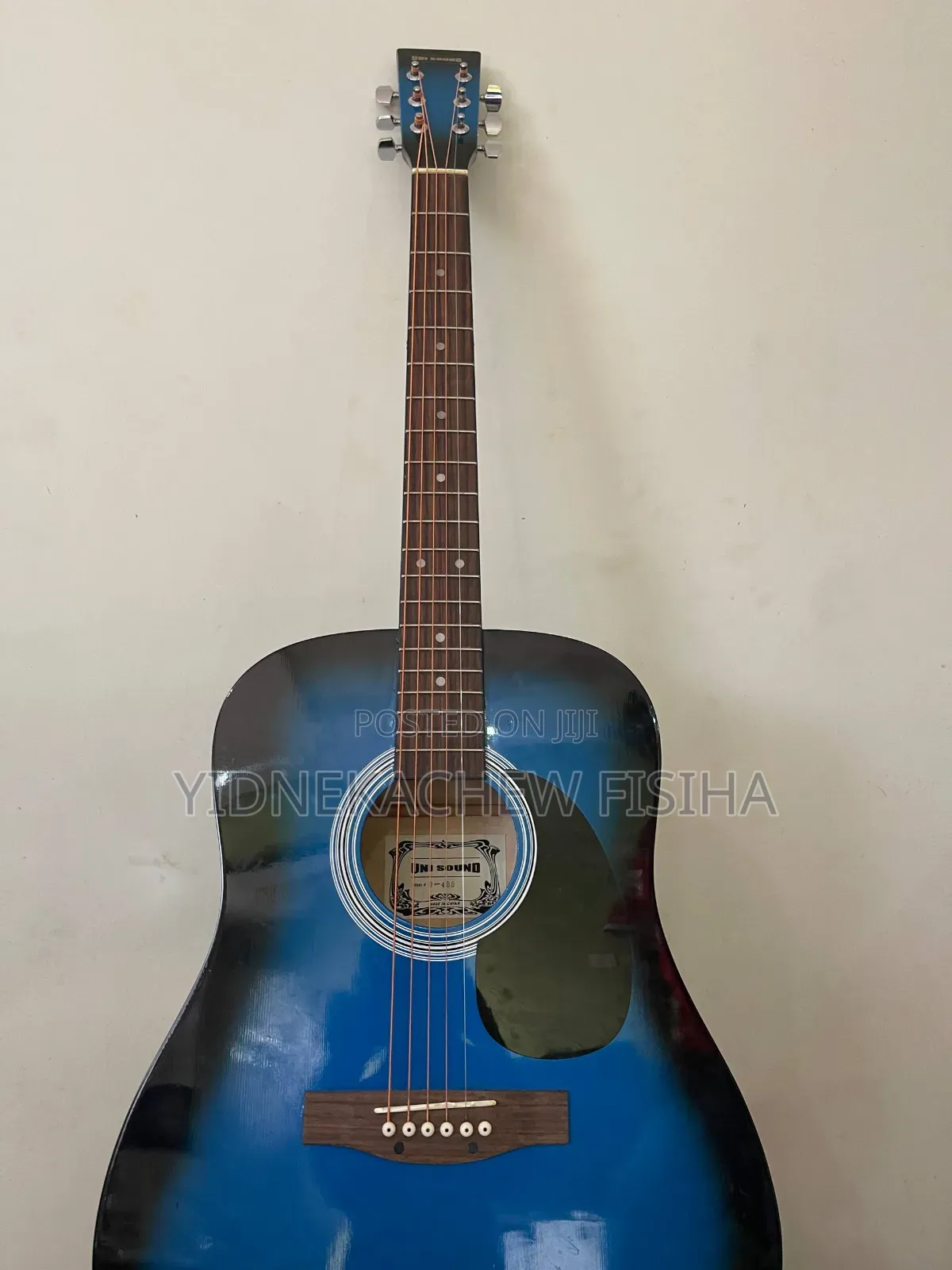 Acoustic Guitar
