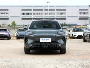 New BYD Sealion 06 EV 2025 Gray